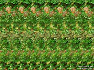 Однажды в джунглях